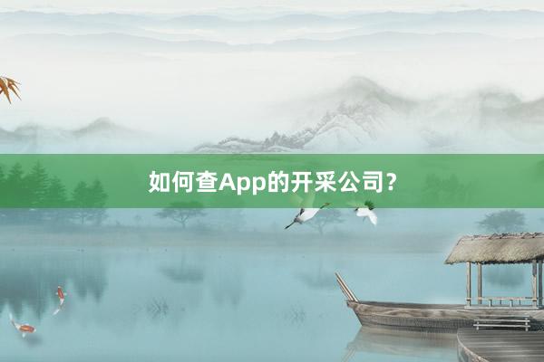 如何查App的开采公司？